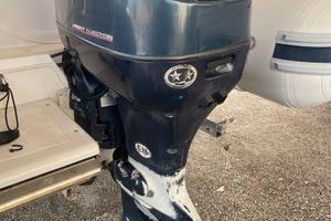 Evinrude 115cv 2004 - FUORIBORDO usato in stock