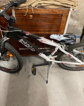 Mtb 24