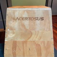 Box Jump Lacertosus componibile