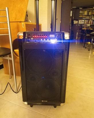 Cassa amplificatore portatile