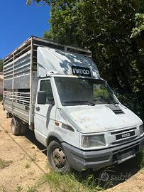 Iveco daily
