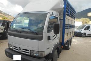 NISSAN CABSTAR TRASPORTO ANIMALI VIVI