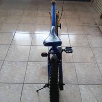 Bicicletta