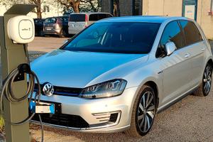 Gold GTE 204 CV 