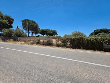 Castelvetrano terreno 3600 mq con progetto