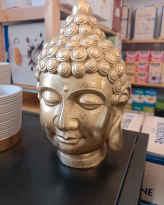 statua testa Buddha