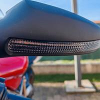 Coppia Specchietti 1098