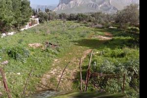 Terrasini terreno con potenzialità edificatoria