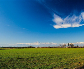 Rustico / azienda agricola