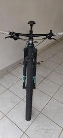 Bici MTB Bianchi Methanol sx 29