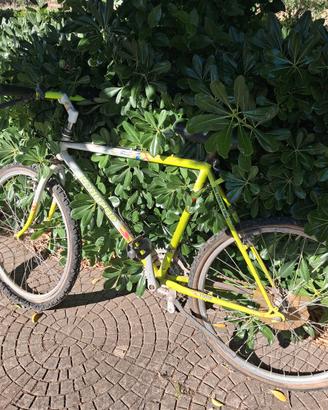 Mountain bike