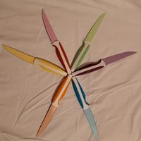 Coltelli bistecca Kasanova 