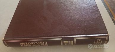 Dizionario sinonimi e contrari vintage De Agostini