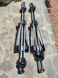 portabici da tetto Thule 