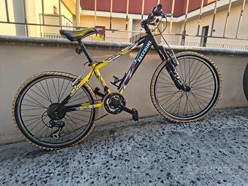 Bicicletta