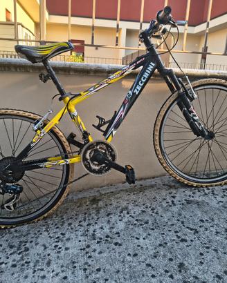 Bicicletta