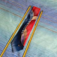 Cravatta in fantasia CdV