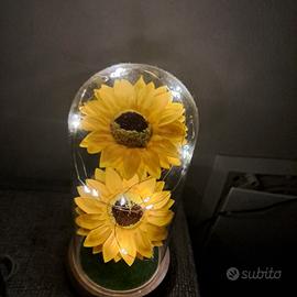 Un raggio di sole non tramonta mai 