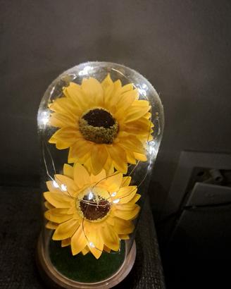 Un raggio di sole non tramonta mai 