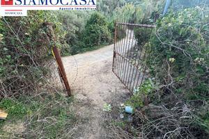 Terreno agricolo di circa 1200 mq - 6.000 euro
