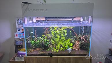 lamapada acquario led star aq90