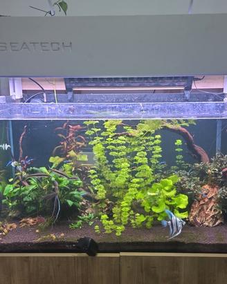 lamapada acquario led star aq90