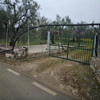 Splendido terreno produttivo a pochi Km dal paese