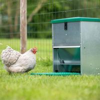 Mangiatoia automatica a pedale 8 Kg 🐓 BOROTTO 🔝