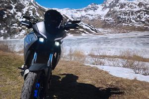 tracer 7