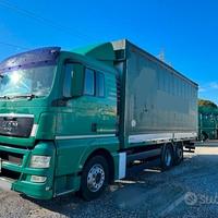 Man TGX 26.360 Centinato (7.40m)