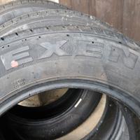 gomma nexen 195 65 15 nblue hd plus