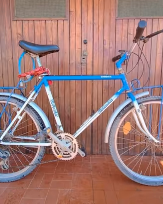 Mountain bike uomo Bottecchia