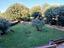 Immagine 25