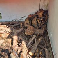 legna per camino o altro