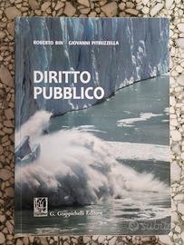 Manuale Diritto pubblico, R.Bin,G.Pitruzzella 2019