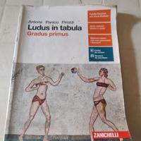 ludus in tabula 1