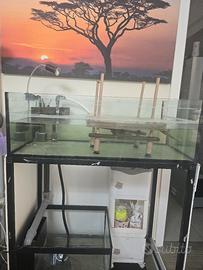 acquario con accessori