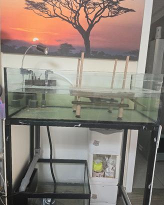 acquario con accessori