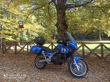 Triumph Tiger 955i