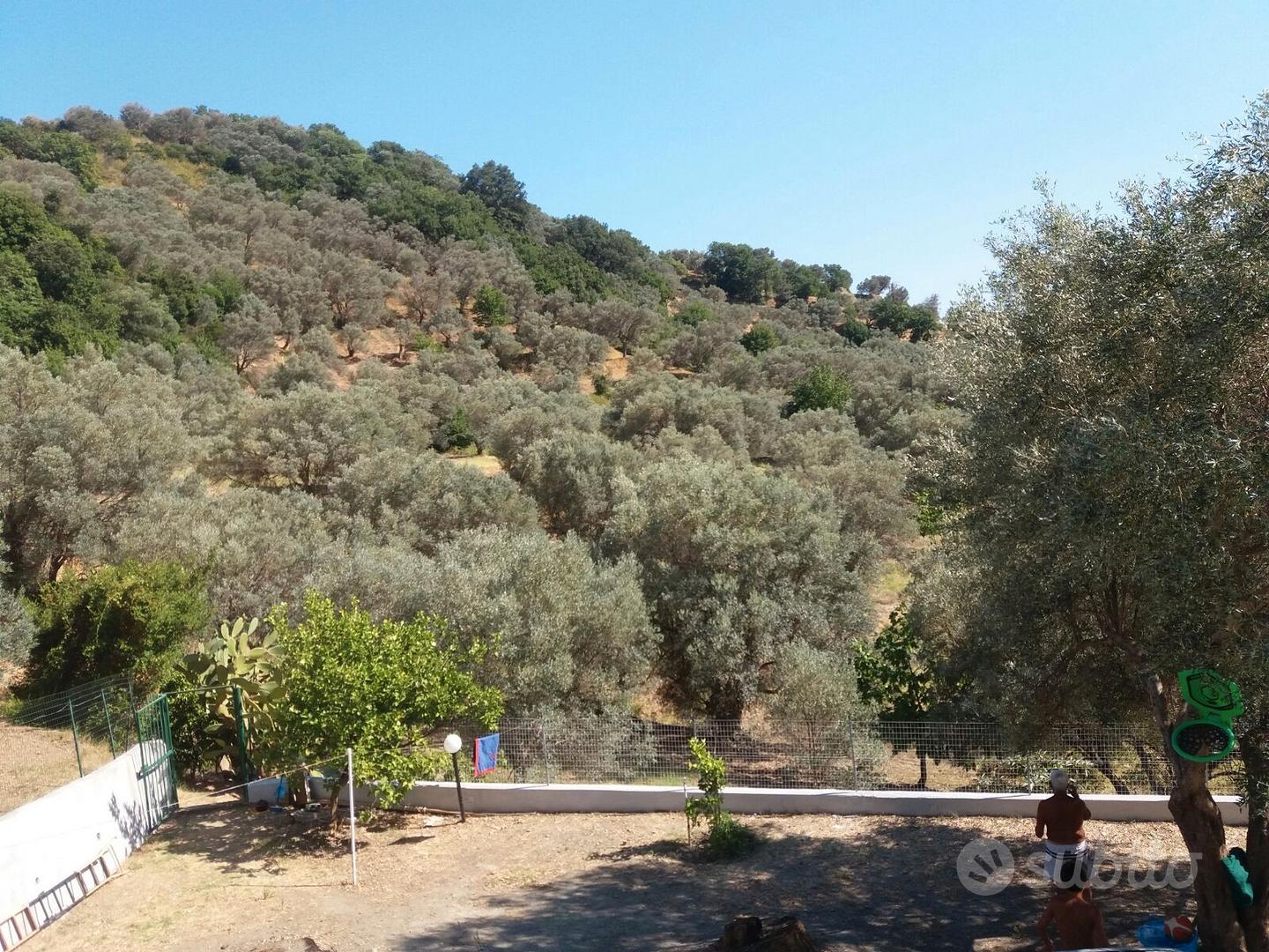 Casa – Agnana Calabra, Reggio Calabria - Vista 3