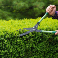 Giardinaggio/Elettricista