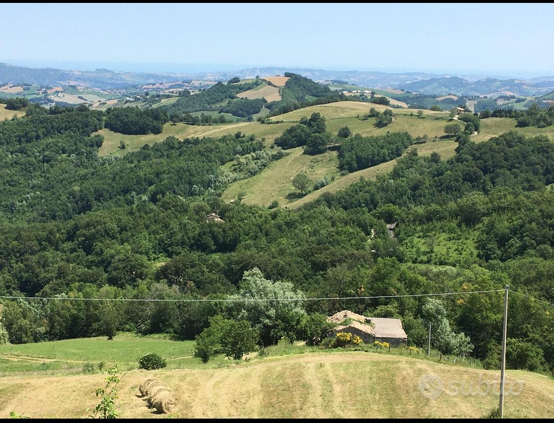 Rustico in pietra e 5 ettari di terreno - Vista 4