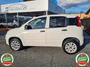 fiat-panda-0-9-twinair-autocarro-2-posti-tagliand