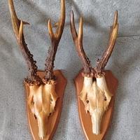 appendiabiti rustici da parete 