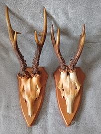 appendiabiti rustici da parete 