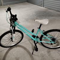 Bicicletta da ragazzo