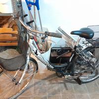 bici da 26 donna