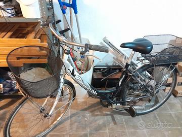 bici da 26 donna