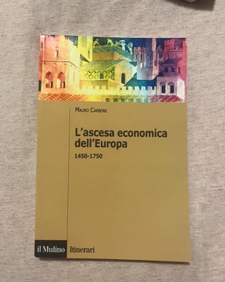 L'ascesa economica dell'Europa di MAURO CARBONI
