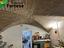 Immagine 13